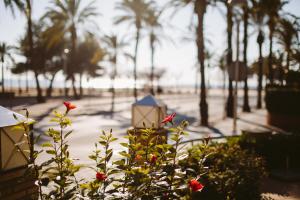 vilanova i la geltru