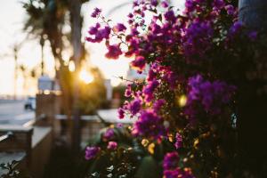 vilanova i la geltru