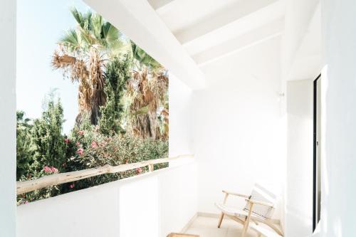 hotel boutique and spa las mimosas ibiza