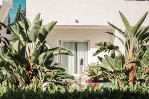 hotel boutique and spa las mimosas ibiza