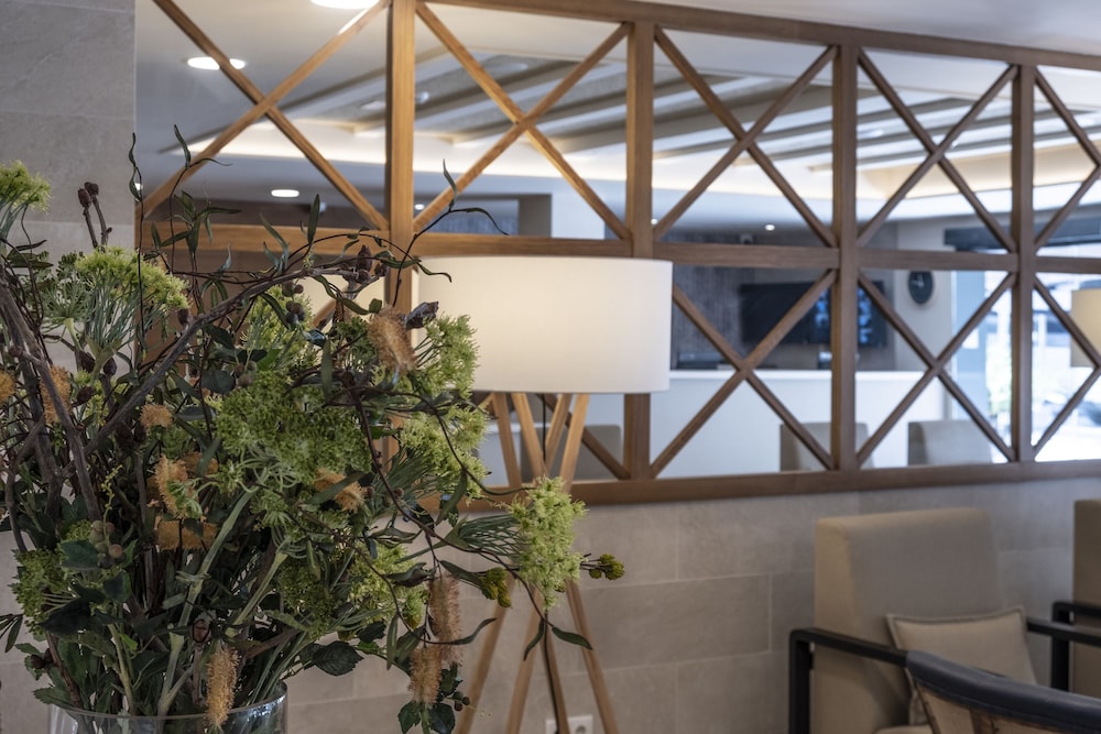 hotel rosamar es blau adults only