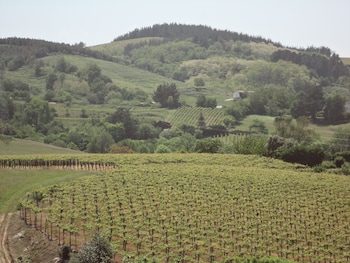 hotel rural gaintza