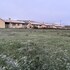matallana