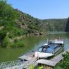 fermoselle