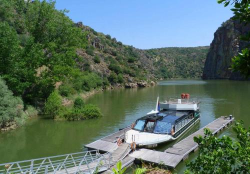 fermoselle