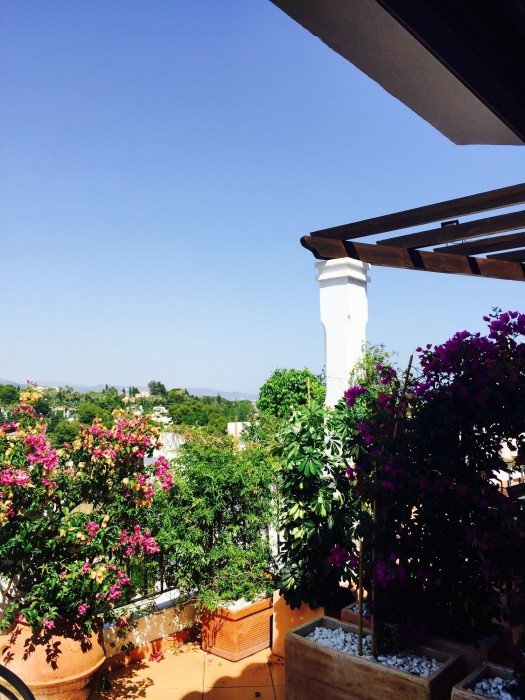 molo luxury suites puerto banus