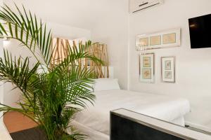 molo luxury suites puerto banus