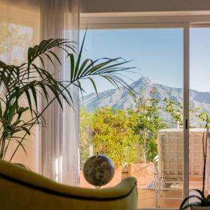 molo luxury suites puerto banus