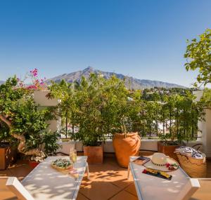 molo luxury suites puerto banus