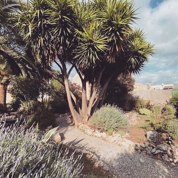 Casa Mona Turismo De Interior,Majorca>>Llubi,3 star