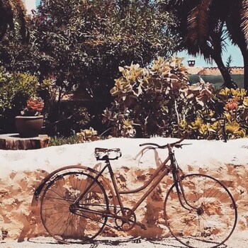 Casa Mona Turismo De Interior,Majorca>>Llubi,3 star