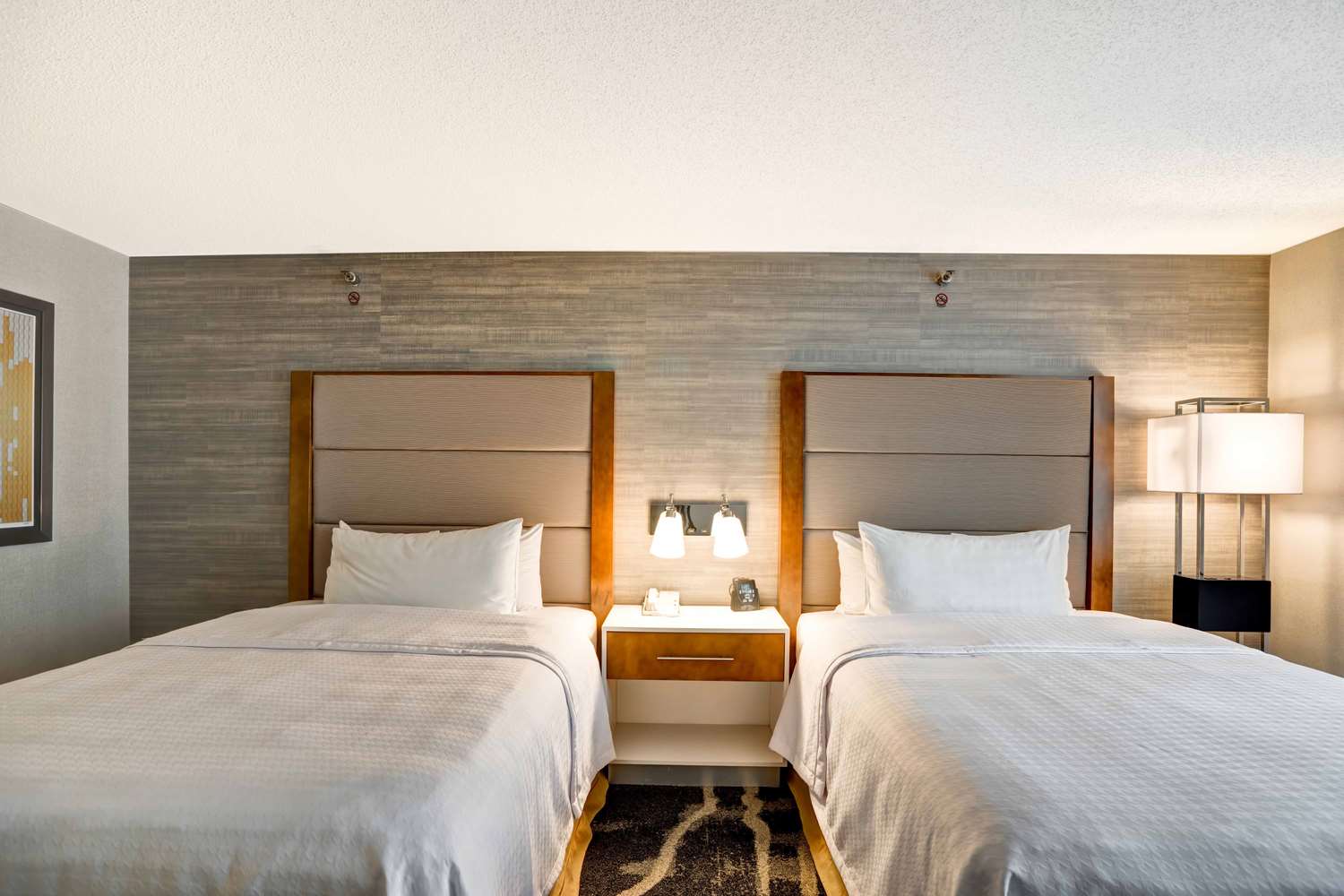 homewood suites by hilton chicago downtown