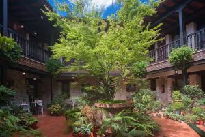 hotel corru san pumes