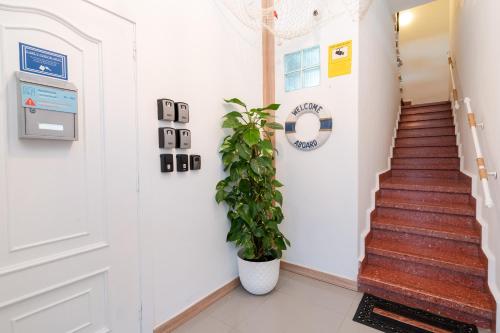 hostel neon tenerife