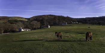 cabanas deluxe basajaun basoa by irrisarri land