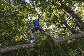 cabanas deluxe basajaun basoa by irrisarri land