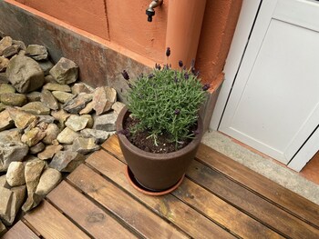 Hostal Casa San Nicolas,Leon Province>>Leon,1 star