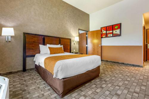 comfort inn chihuahua