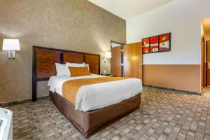 comfort inn chihuahua
