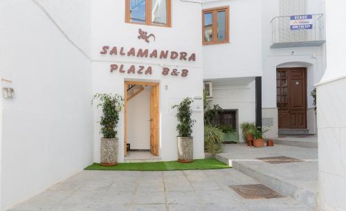 salamandra plaza bandb