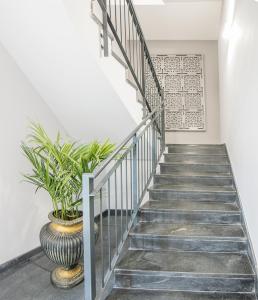 sevilla green suites