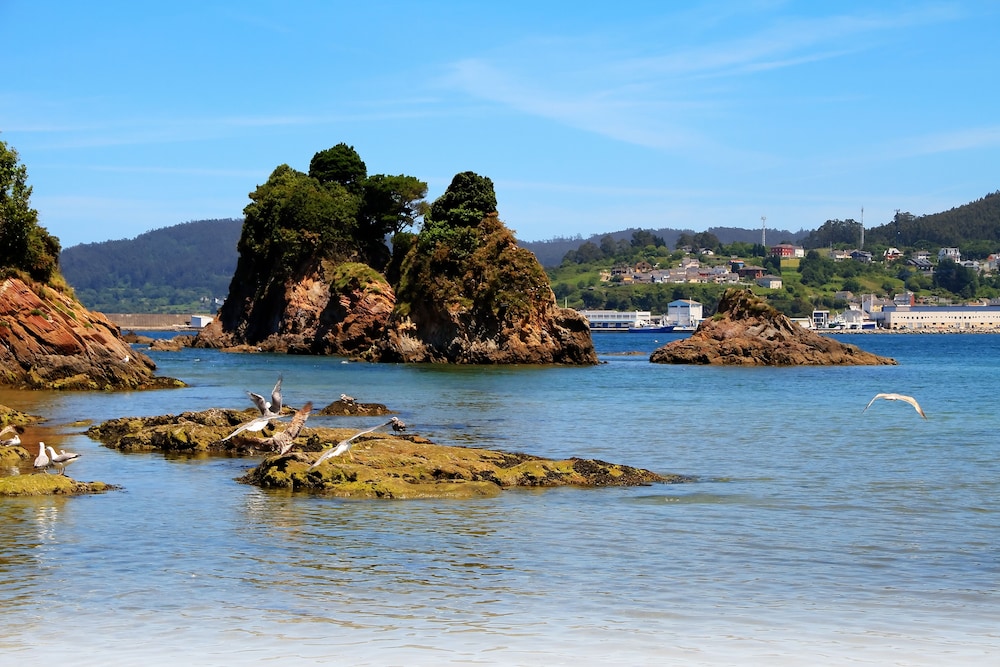 viveiro