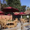 the cherry tree