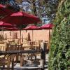 the cherry tree