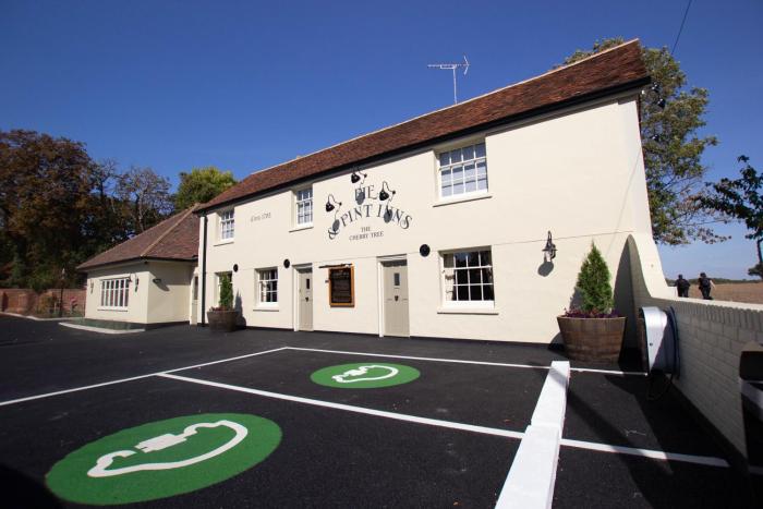 the cherry tree