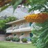 kyveli apartments