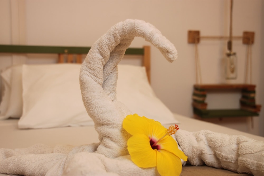 las palmas de gran canaria