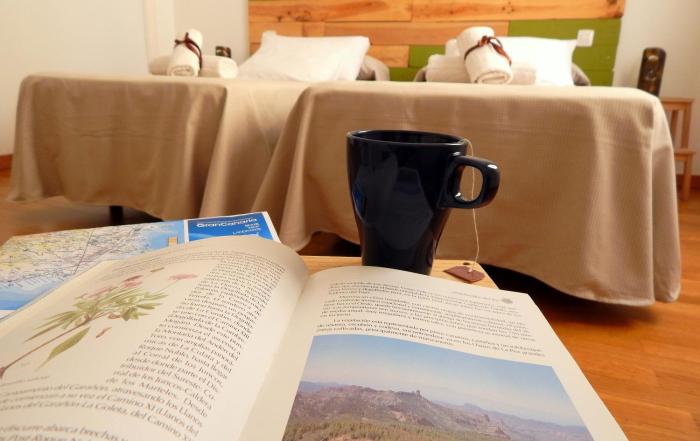 las palmas de gran canaria