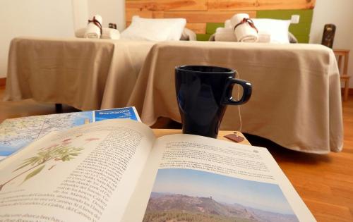 las palmas de gran canaria