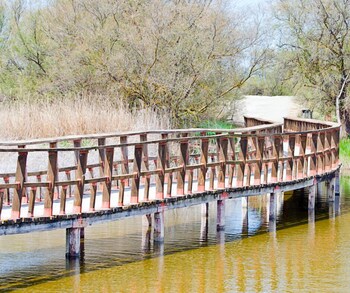 apartamentos oncemolinos