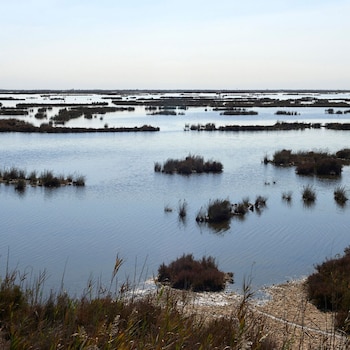 apartamentos oncemolinos