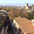 consuegra