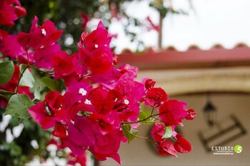 hotel rural molino la boticaria