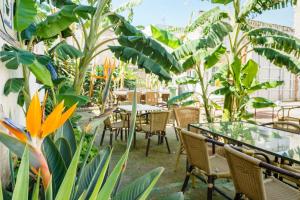 hotel carlos v by viverestays