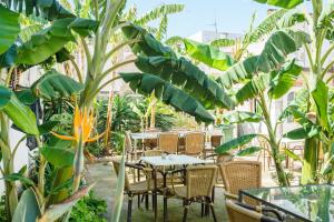 hotel carlos v by viverestays