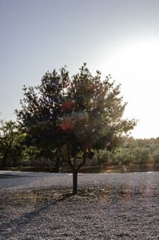 Finca Gomera, Luxury Country House - Adults Only,Cala Pi>>Cala Blava,4 star