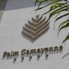 palm camayenne