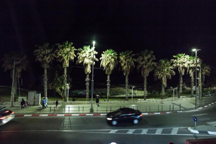 bat yam