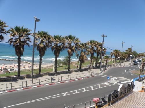 bat yam