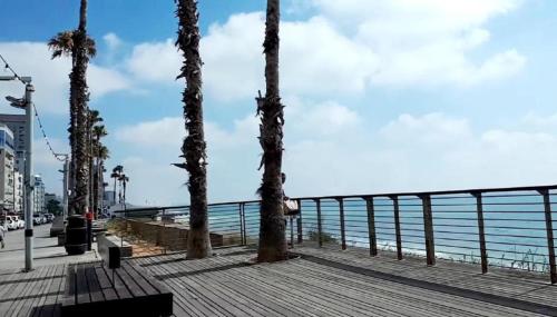 bat yam