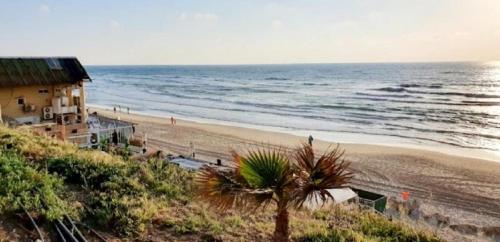 bat yam