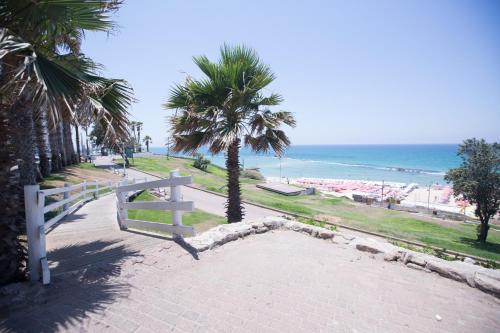 bat yam