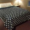 shoal lake motor inn