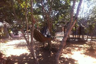 bananyana backpackers