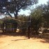 bananyana backpackers