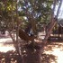 bananyana backpackers
